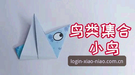 小鸟平台官网使用教程详解
